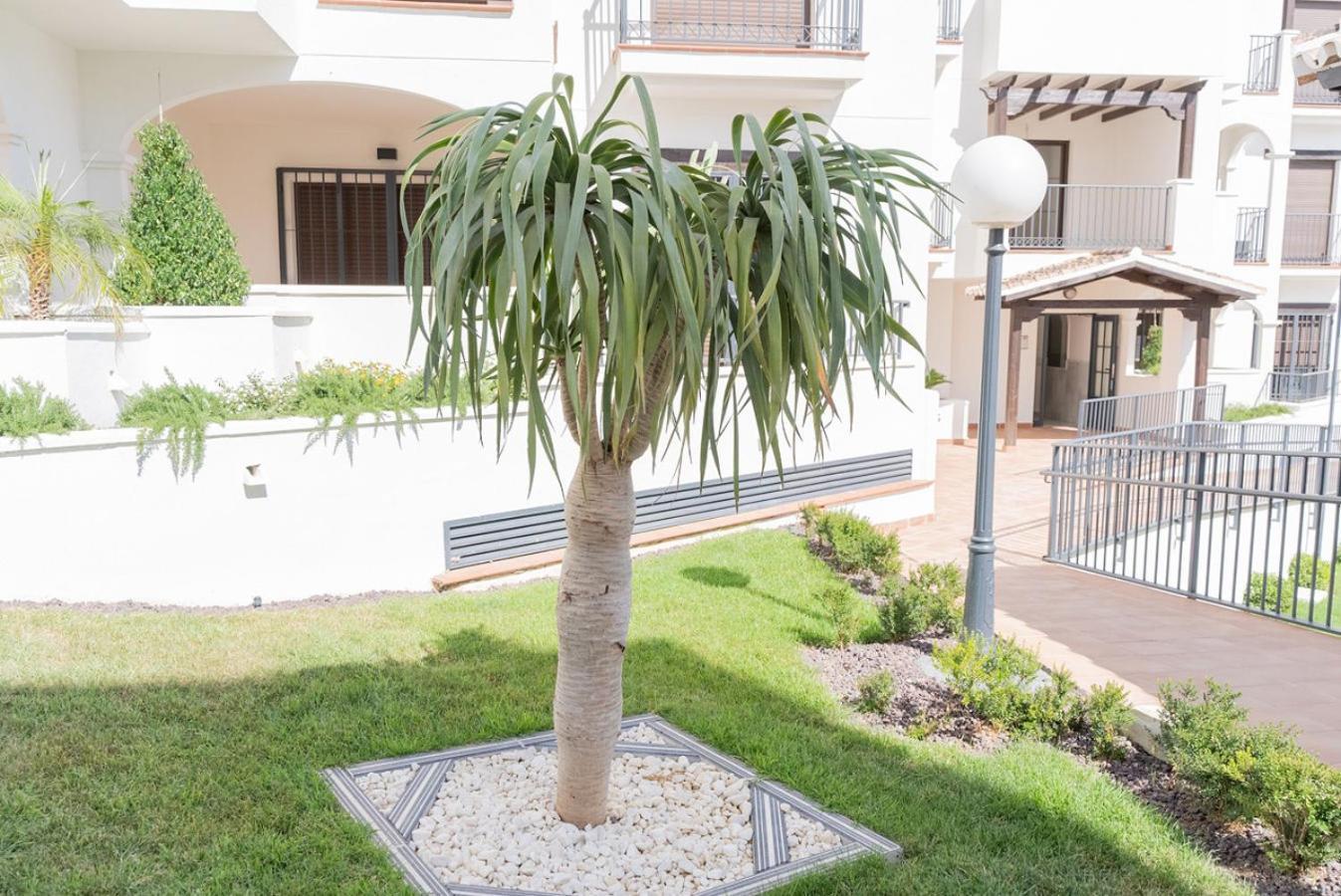 Itrabo Todimer New Pueblo Mediteraneo מראה חיצוני תמונה